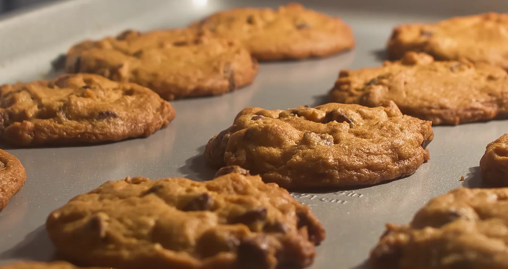 Frisch gebackene Cookies auf dem Blech